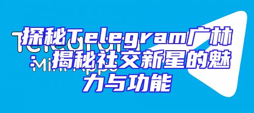 探秘Telegram广林：揭秘社交新星的魅力与功能