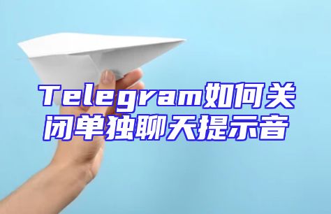Telegram如何关闭单独聊天提示音