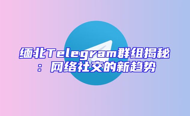 缅北Telegram群组揭秘：网络社交的新趋势