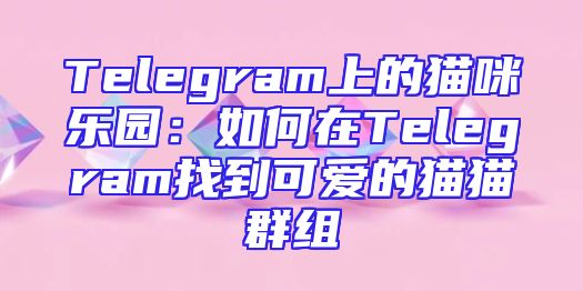 Telegram上的猫咪乐园：如何在Telegram找到可爱的猫猫群组