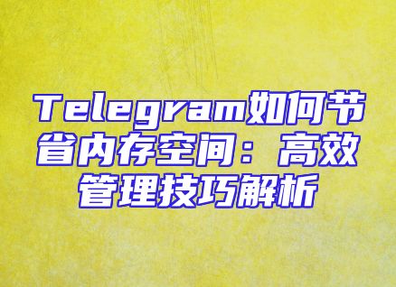 Telegram如何节省内存空间：高效管理技巧解析