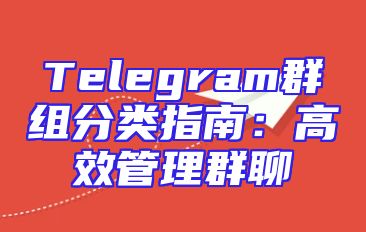 Telegram群组分类指南：高效管理群聊