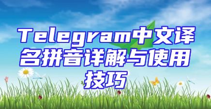 Telegram中文译名拼音详解与使用技巧
