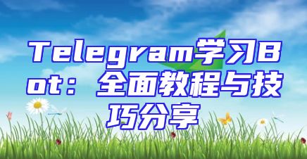 Telegram学习Bot：全面教程与技巧分享