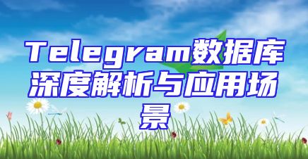 Telegram数据库深度解析与应用场景
