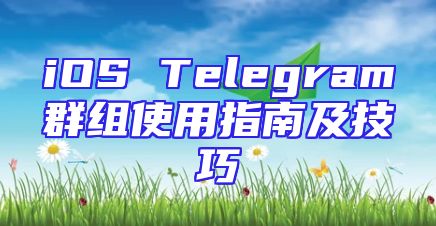 iOS Telegram群组使用指南及技巧