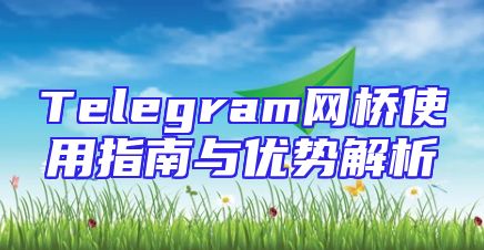 Telegram网桥使用指南与优势解析