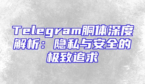 Telegram胴体深度解析：隐私与安全的极致追求