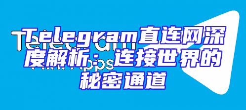 Telegram直连网深度解析：连接世界的秘密通道