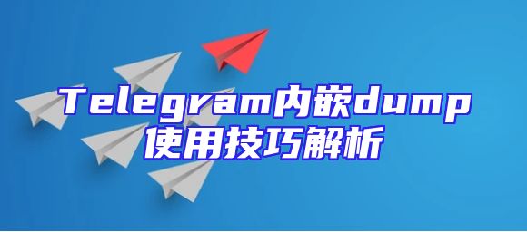 Telegram内嵌dump使用技巧解析