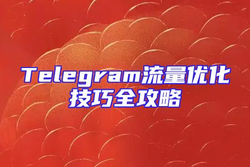 Telegram流量优化技巧全攻略