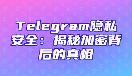 Telegram隐私安全：揭秘加密背后的真相
