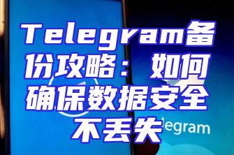 Telegram备份攻略：如何确保数据安全不丢失