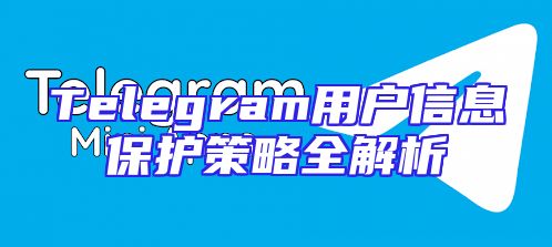 Telegram用户信息保护策略全解析