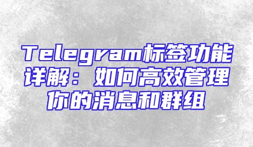Telegram标签功能详解：如何高效管理你的消息和群组