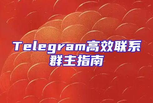 Telegram高效联系群主指南