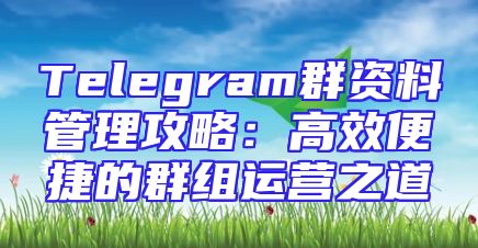 Telegram群资料管理攻略：高效便捷的群组运营之道