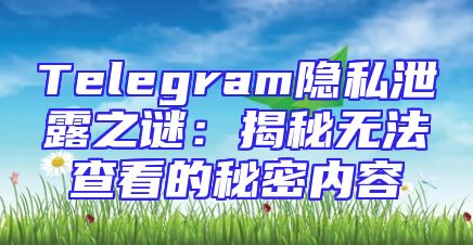 Telegram隐私泄露之谜：揭秘无法查看的秘密内容