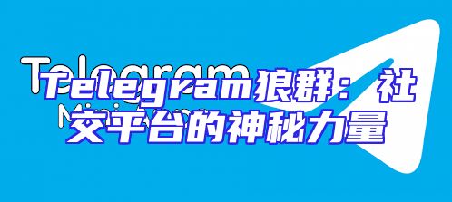 Telegram狼群：社交平台的神秘力量