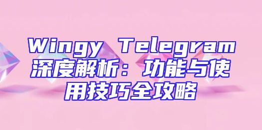 Wingy Telegram深度解析：功能与使用技巧全攻略