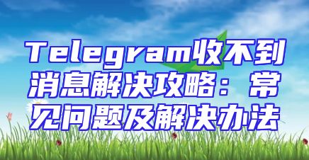 Telegram收不到消息解决攻略：常见问题及解决办法