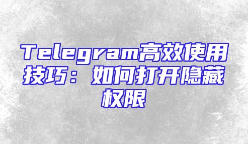 Telegram高效使用技巧：如何打开隐藏权限