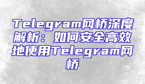 Telegram网桥深度解析：如何安全高效地使用Telegram网桥