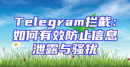 Telegram拦截：如何有效防止信息泄露与骚扰