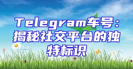 Telegram车号：揭秘社交平台的独特标识