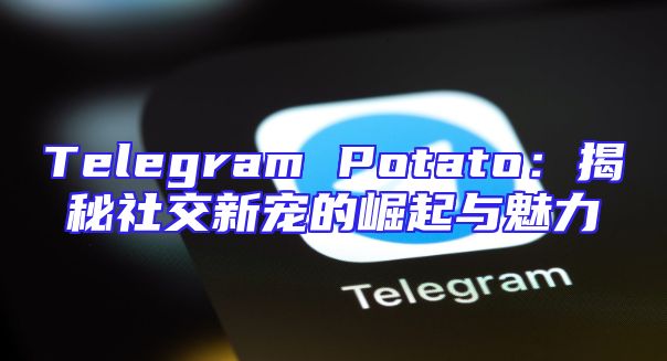 Telegram Potato：揭秘社交新宠的崛起与魅力