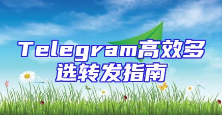 Telegram高效多选转发指南