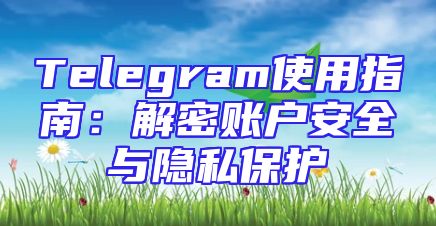 Telegram使用指南：解密账户安全与隐私保护