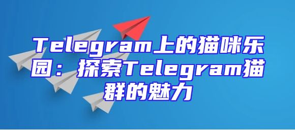 Telegram上的猫咪乐园：探索Telegram猫群的魅力