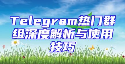 Telegram热门群组深度解析与使用技巧