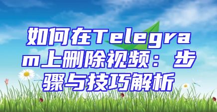 如何在Telegram上删除视频：步骤与技巧解析